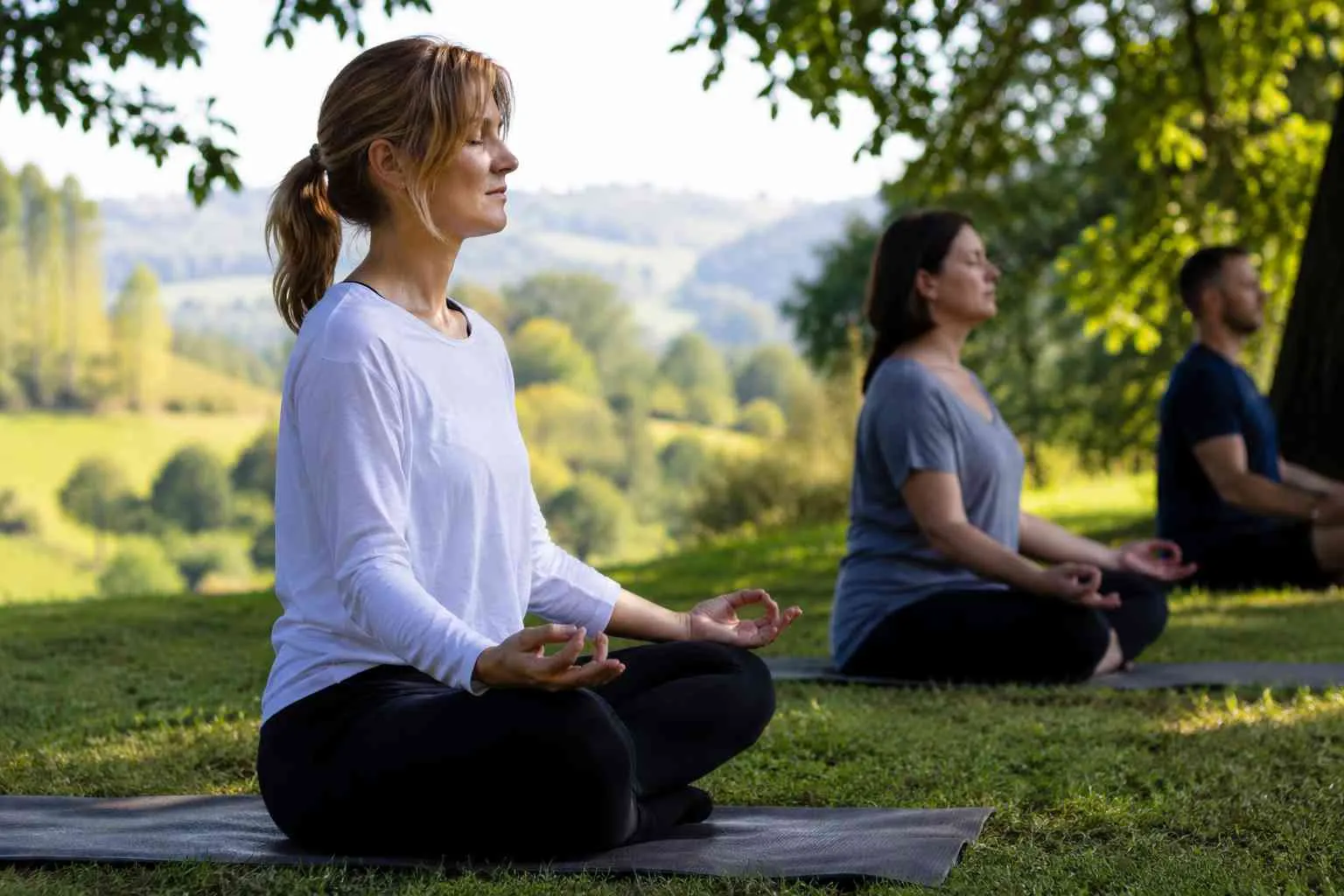 The brain shifts into meditation in 2โ3 minutes and peaks at about the 7th minute